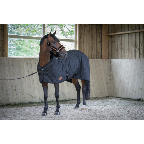 Paddock Padded stable rug Paddock Padded stable rug
