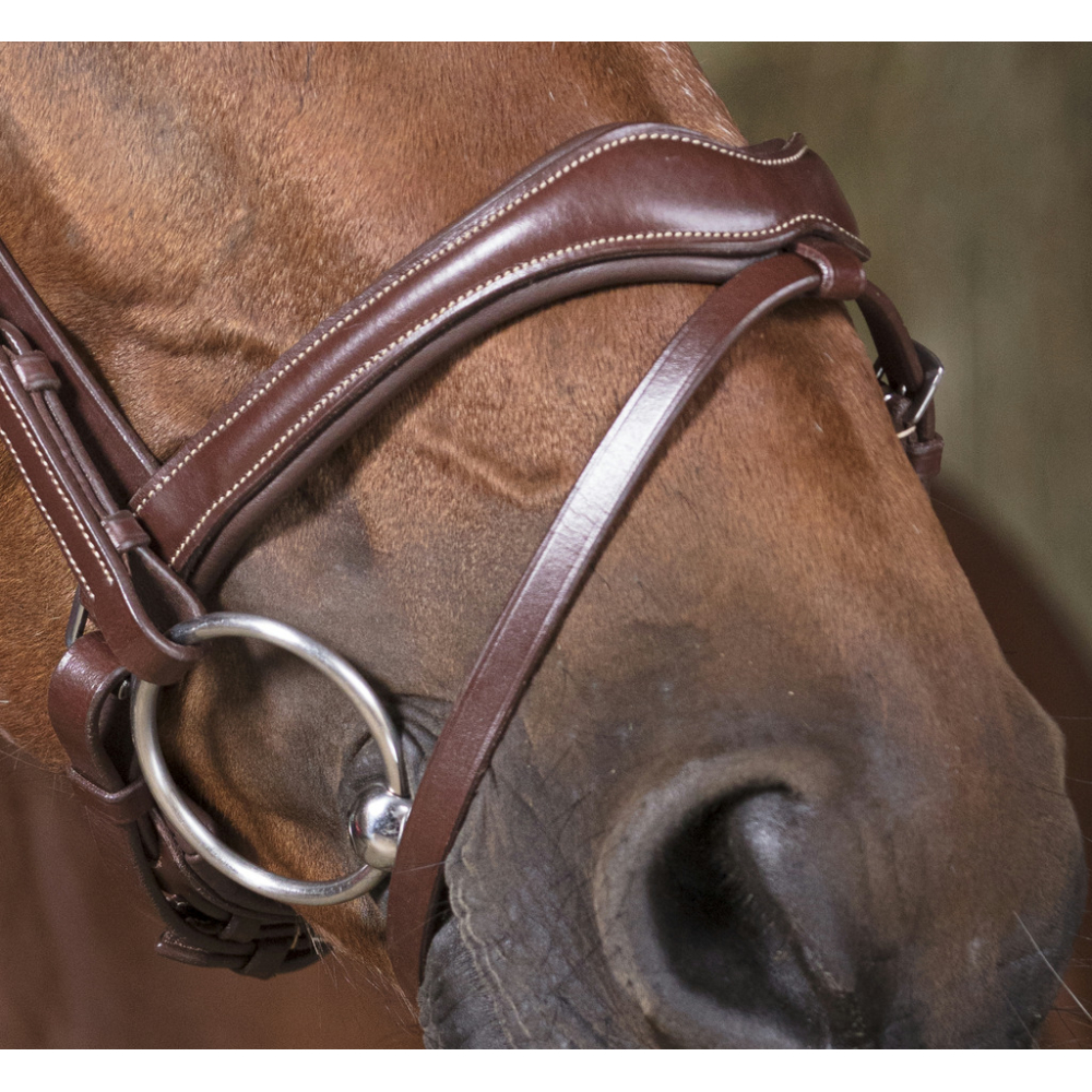 Norton Pro Bridle Wave - Leather Bridles - PADD