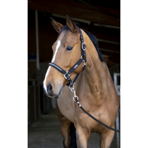 EQUITHÈME French Touch Halter + Lead rope