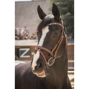 Pénélope Smoothie Pearl Bridle