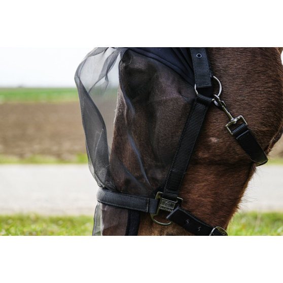 EQUITHÈME Halter + fly mask anti-UV protection