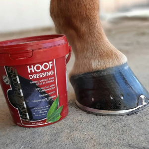 Kevin Bacon's Original Hoof Dressing Ointment
