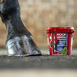 Kevin Bacon's Black Hoof Dressing Ointment