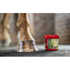 Kevin Bacon's Hoof Dressing The Green Hufbalsam