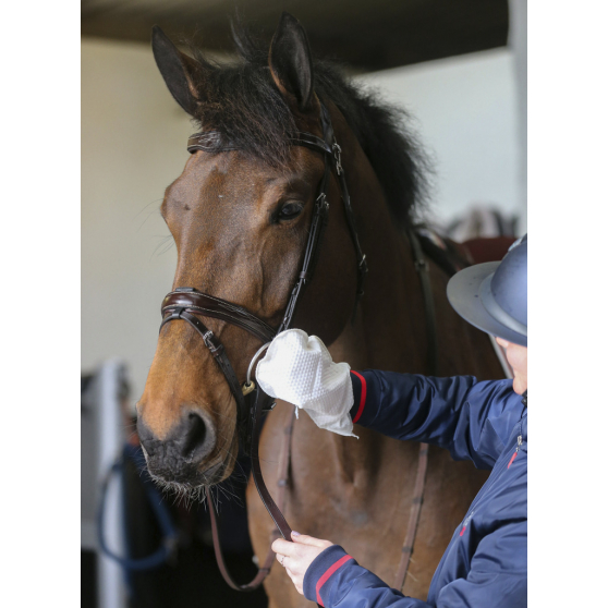 Carr & Day & Martin Belvoir® Tack Cleaner Gloves