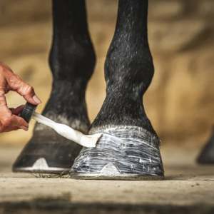 Baume pour sabots Carr & Day & Martin Cornucrescine Daily Hoof Moisturiser