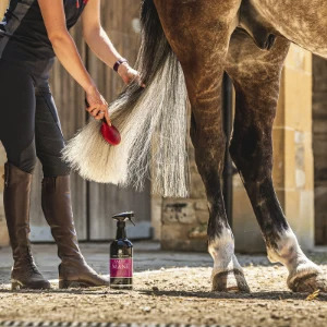 Carr & Day & Martin Canter® Detangler