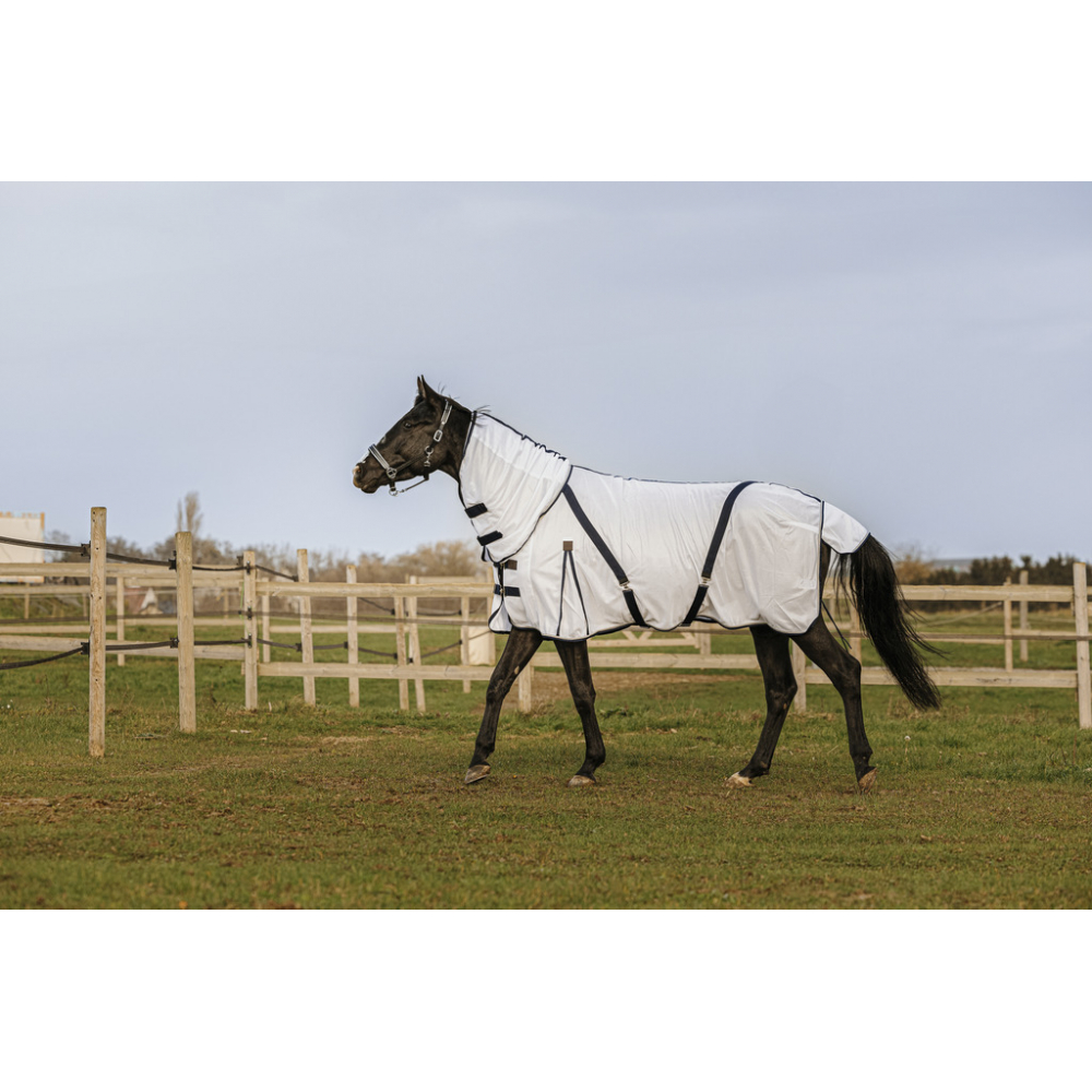 EQUITHÈME Mesh Fliegendecke - Combo