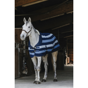 Chemise polaire EQUITHÈME Confortech - Standard