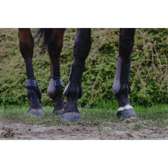 Riding World Fetlock boots