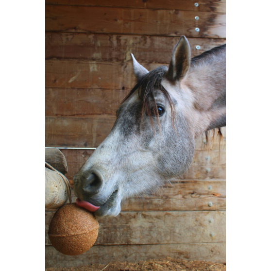 Boule Unika Balls Herbs - Endurance