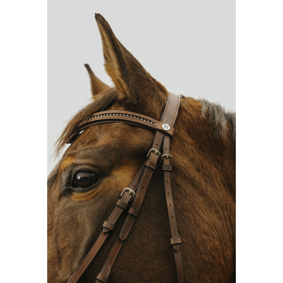 Norton Club Strass V Bridle