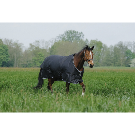 Chemise EQUITHÈME Tyrex 600D - Standard