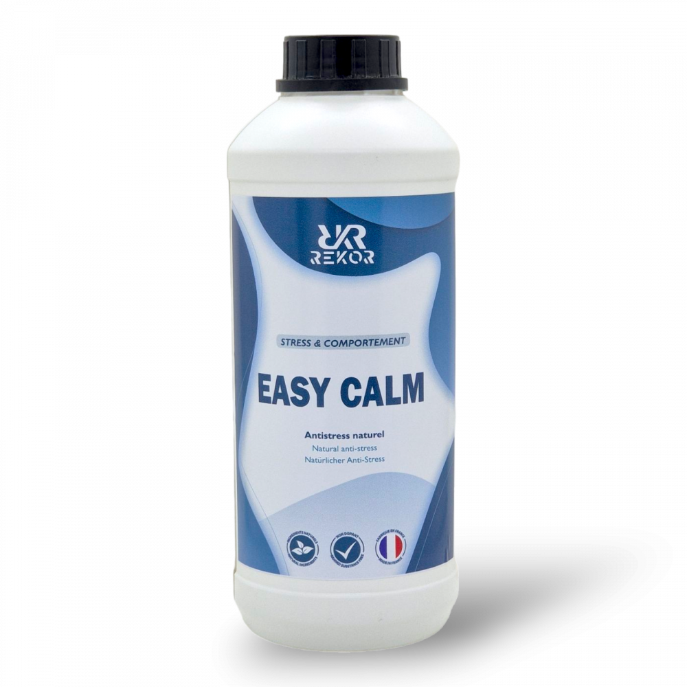 Easy Calm Rekor