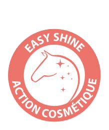 Easy shine Ravene