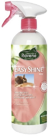 Easy shine Ravene