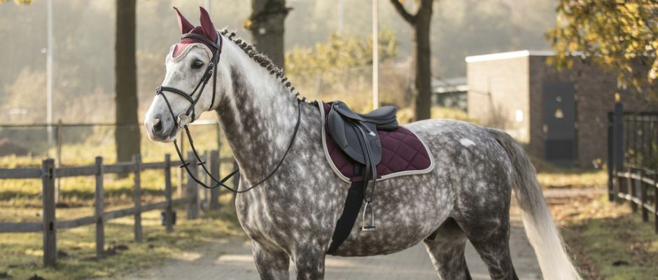 Ensemble tapis-bonnet chez PADD