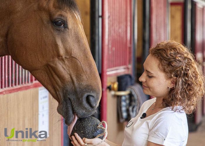 Unika bei padd