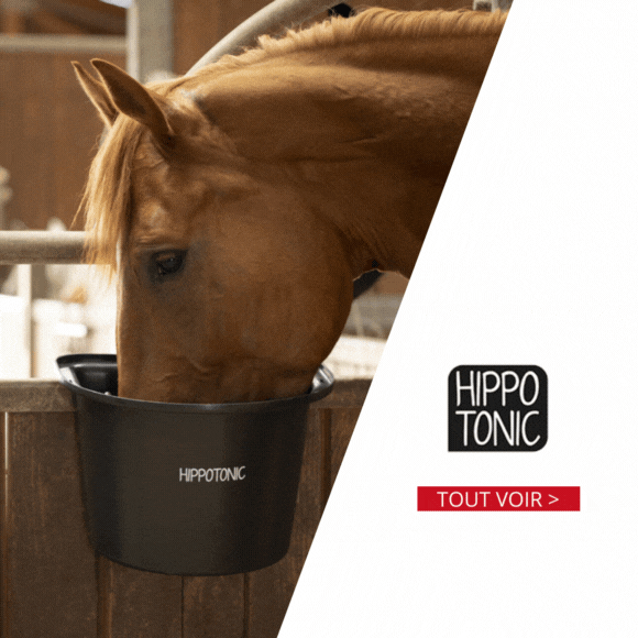 Athippique : matériel équitation 100 % made in France